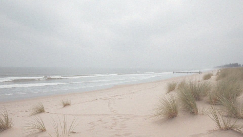Jakie są najpiękniejsze plaże nad polskim morzem?