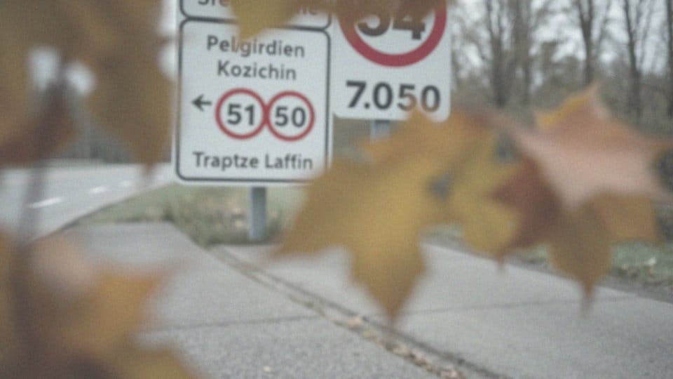 Jakie są terminy związane z zatrzymaniem prawa jazdy?