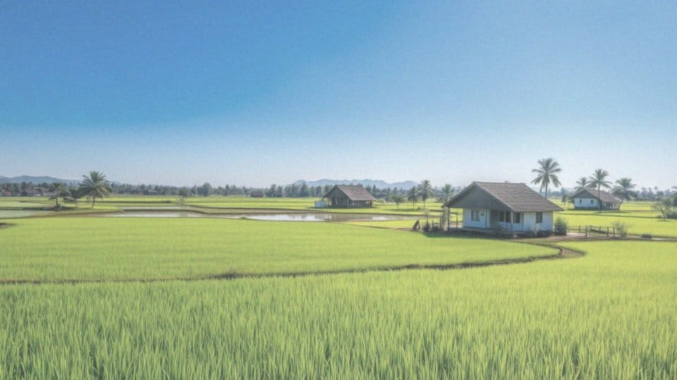Jakie są warunki klimatyczne w Wietnamie w marcu?