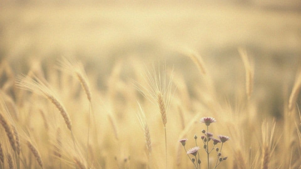 4 tydzień ciąży ból w podbrzuszu – przyczyny i znaczenie objawów