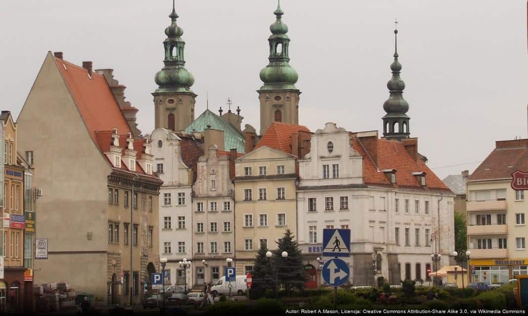 Wsparcie edukacyjne dla uczniów z Gminy Nysa w roku szkolnym 2024/2025